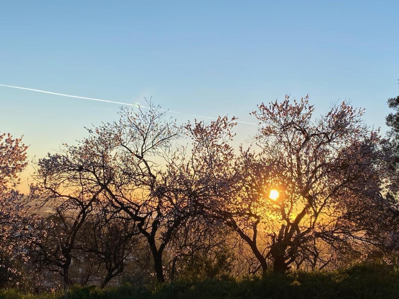 La Suite Sainte Claire Hyeres Ngoại thất bức ảnh