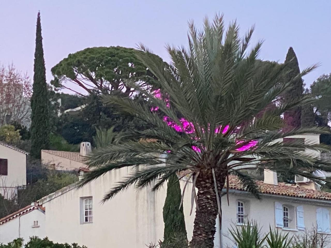 La Suite Sainte Claire Hyeres Ngoại thất bức ảnh